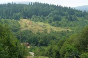 W Kowarach udaremniona próba samowoli