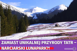 Zamiast unikalnej przyrody Tatr – narciarski lunapark?