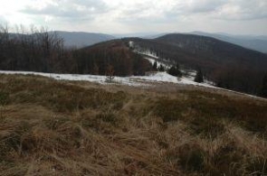 Gmina Cisna nadal podtrzymuje plany zniszczenia góry Jasło w Bieszczadach